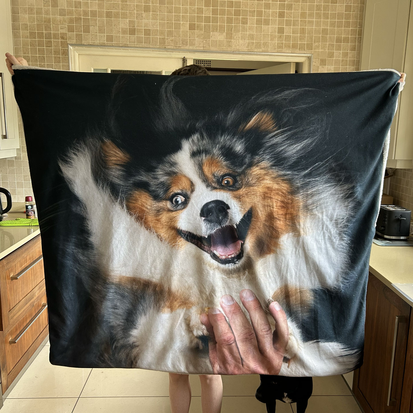 Custom Dog Blankets - Image 4
