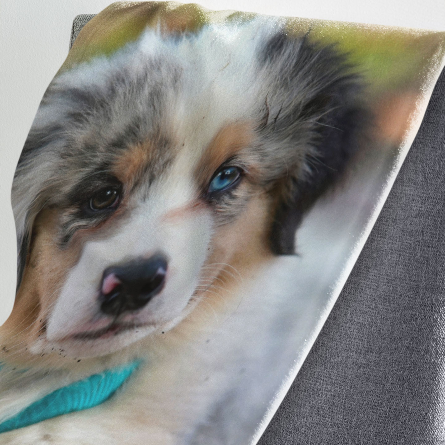 Custom Dog Blankets - Image 7